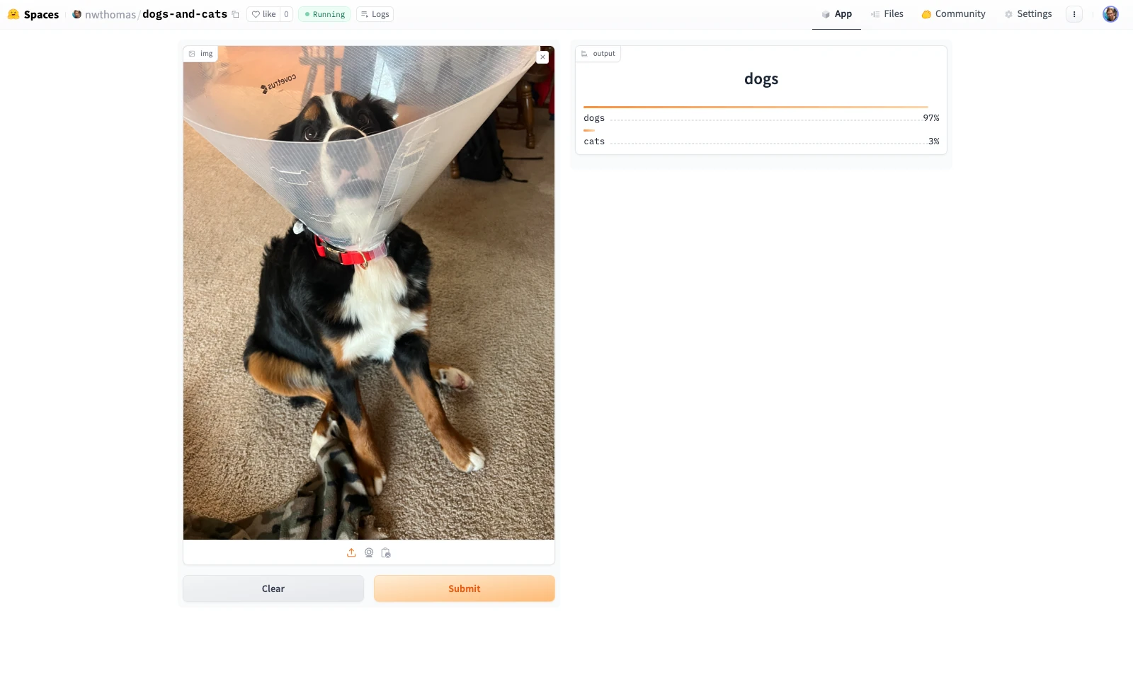 Hugging Face prediction for Aspen, Nathan's dog